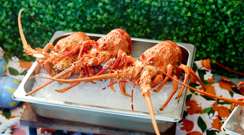 crayfish